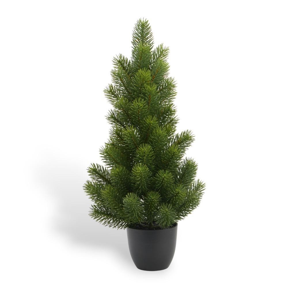 ABETE VERDE IN VASO CM50